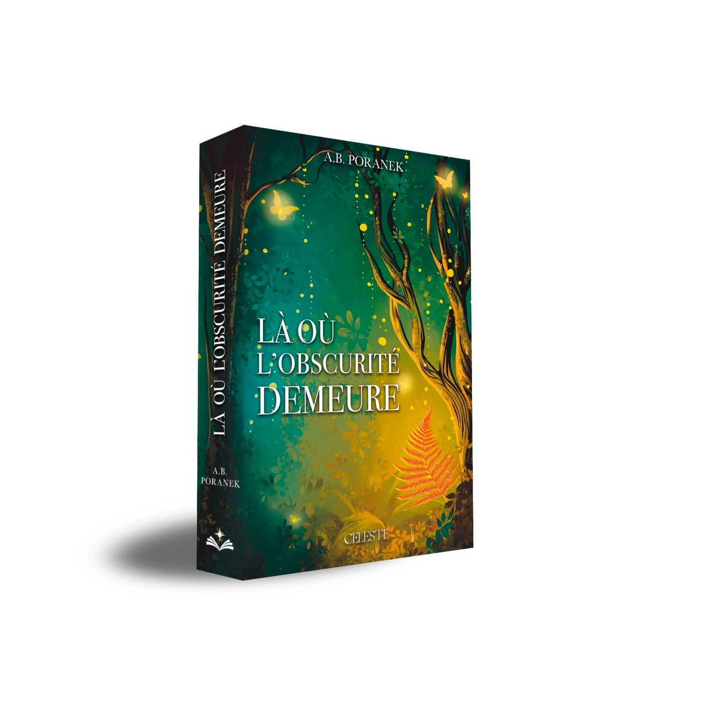 Là où l'obscurité demeure